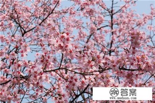 杭州植物园11月份值得去吗？