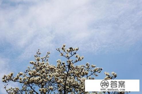 杭州植物园11月份值得去吗？杭州植物园十一月景观如何？能否值得一游？