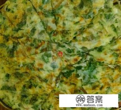 马齿菜怎么吃? 马齿菜怎么吃?