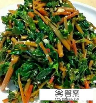 马齿菜怎么吃? 马齿菜怎么吃?