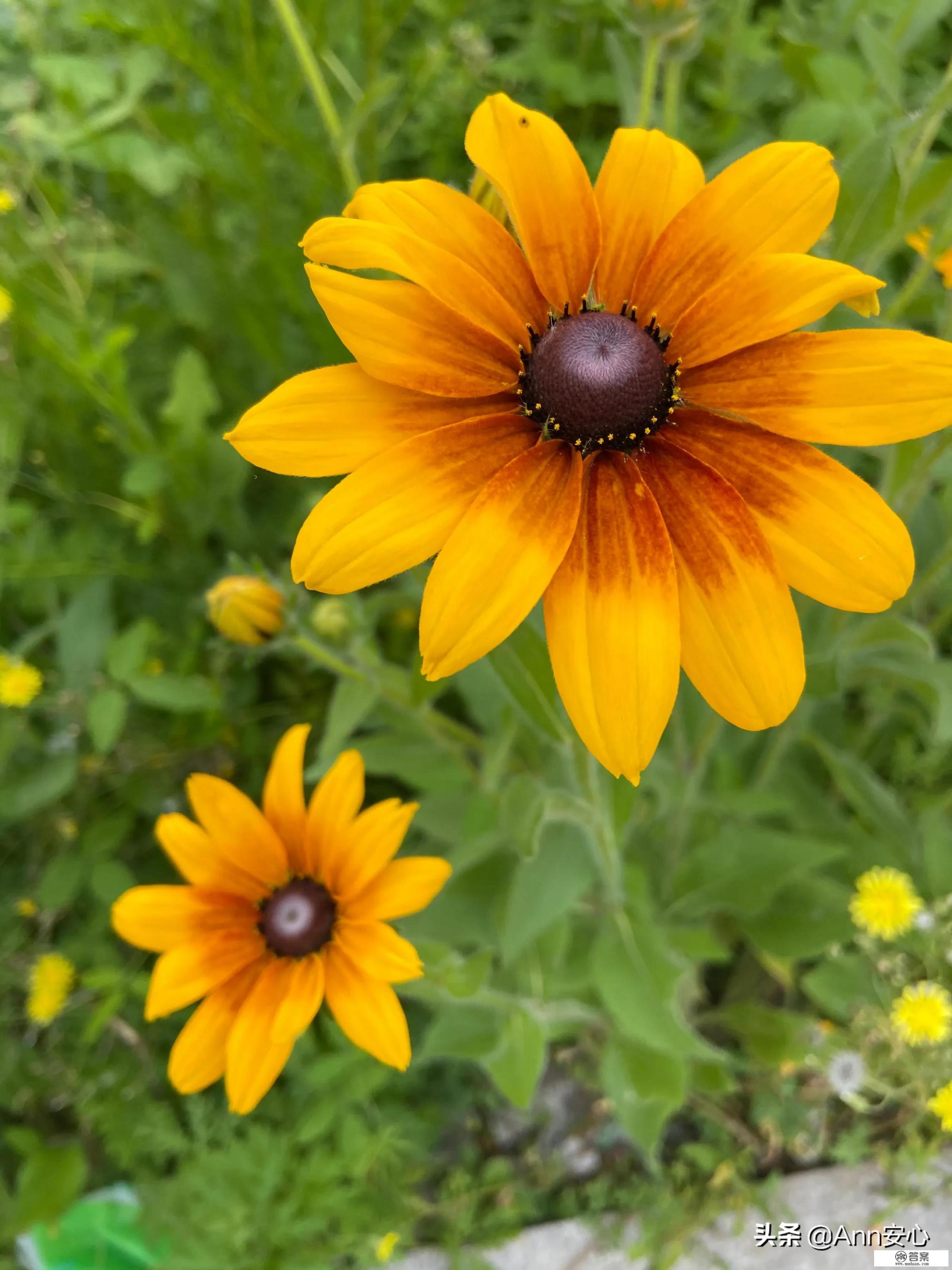 医院怎么称呼婴儿？