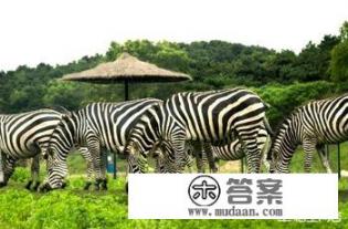 沈阳带孩子一日游去哪玩好？