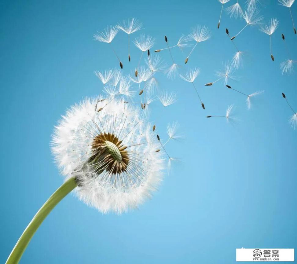 信用卡当天办理能当天透支吗？