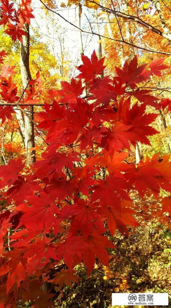 信用卡当天办理能当天透支吗？信用卡透支额度能当日达到吗？