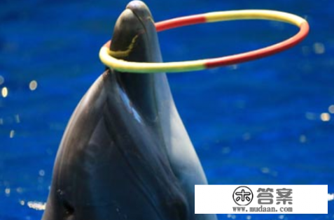 福州一日游必去的景点? 福州一日游必去的景点?