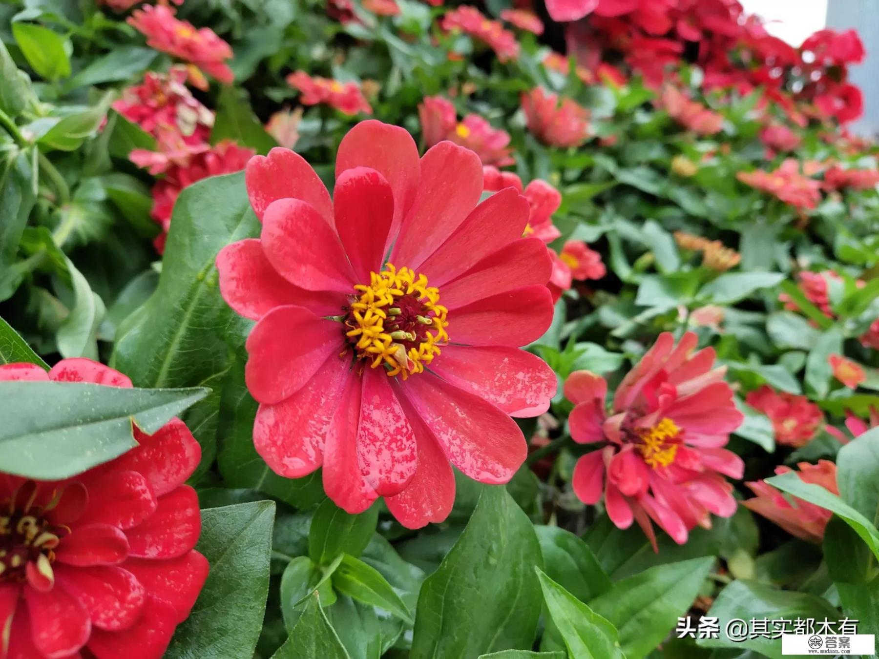 魅族18和魅族16spro尺寸大小？