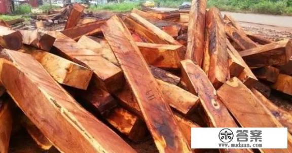 香椿树木材的用途？