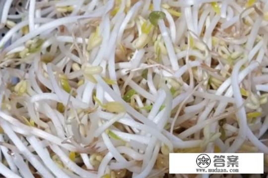豆芽炒饼丝做法王刚? 豆芽炒饼丝做法王刚?