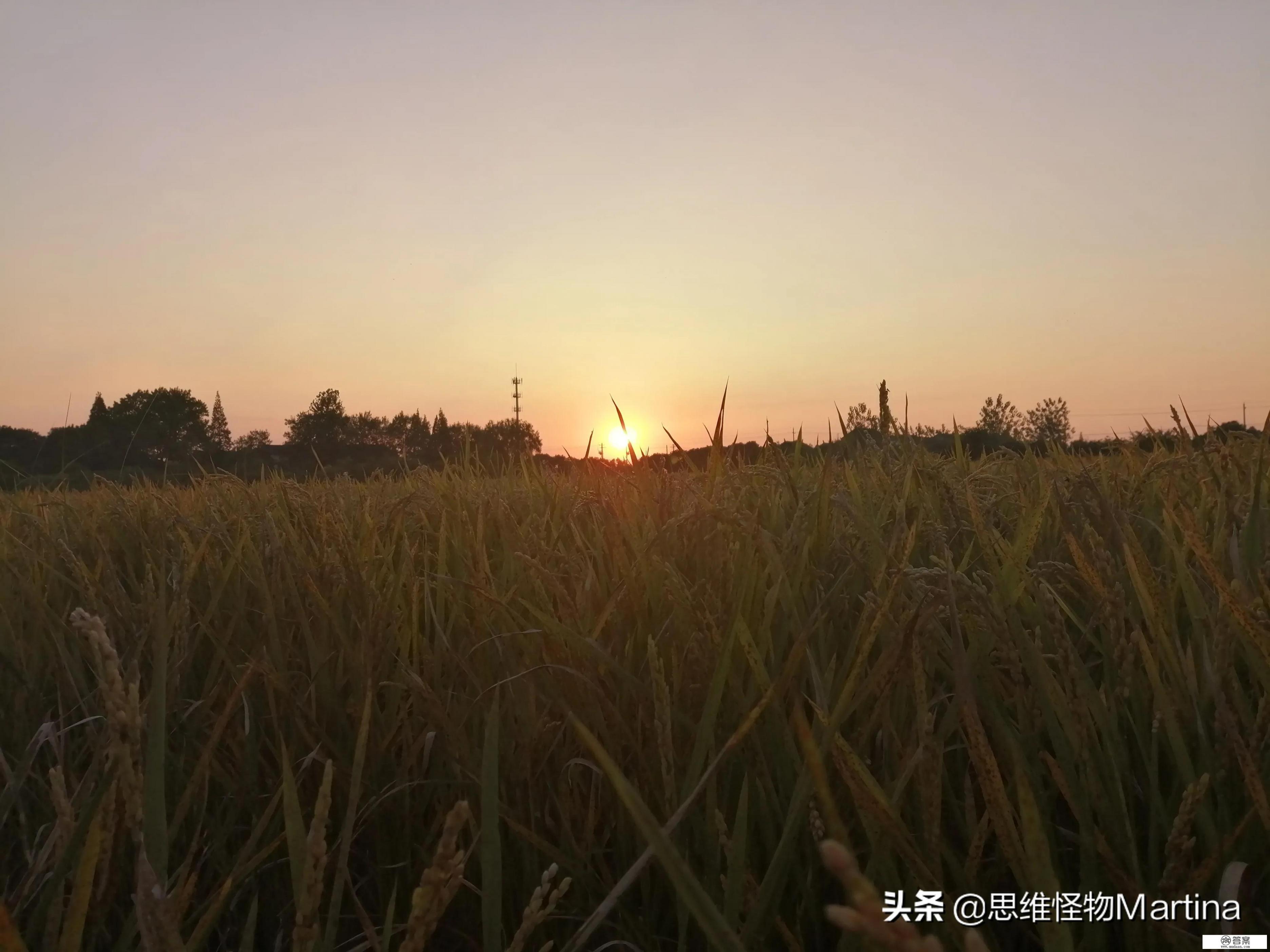 前男友跟舍友在一起了应该祝福吗？