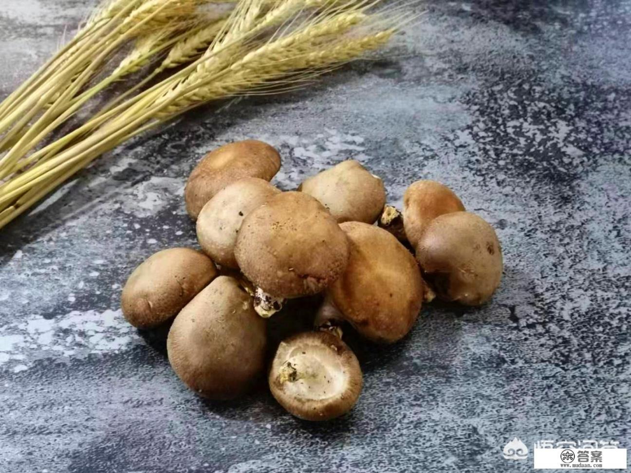 香菇汤做法? 香菇汤做法?