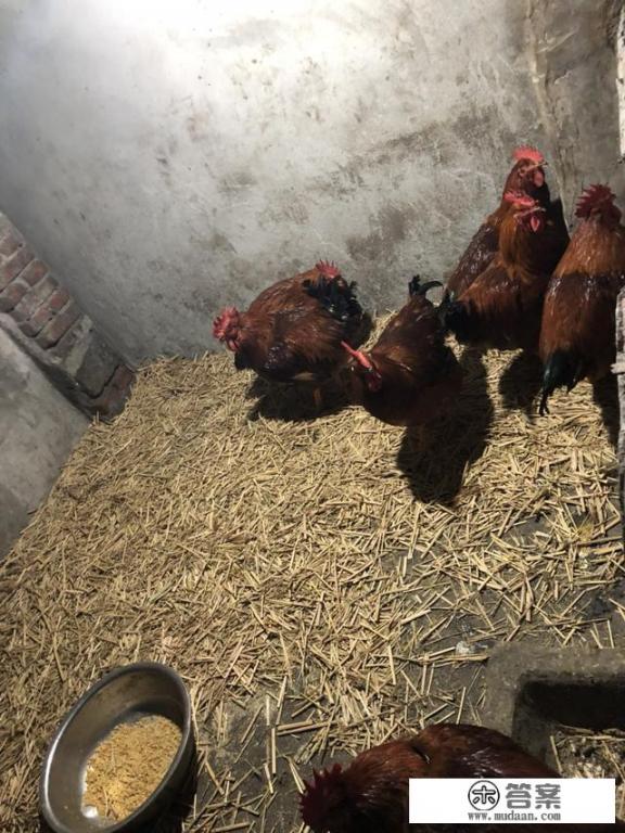 为什么感觉农村老人活到老干到老,一生都在劳累? 为什么感觉农村老人活到老干到老,一生都在劳累?