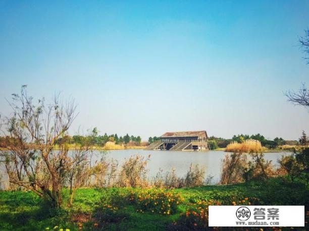 崇明岛一日游最佳景点？