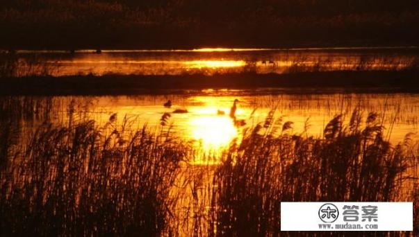 崇明岛一日游最佳景点？
