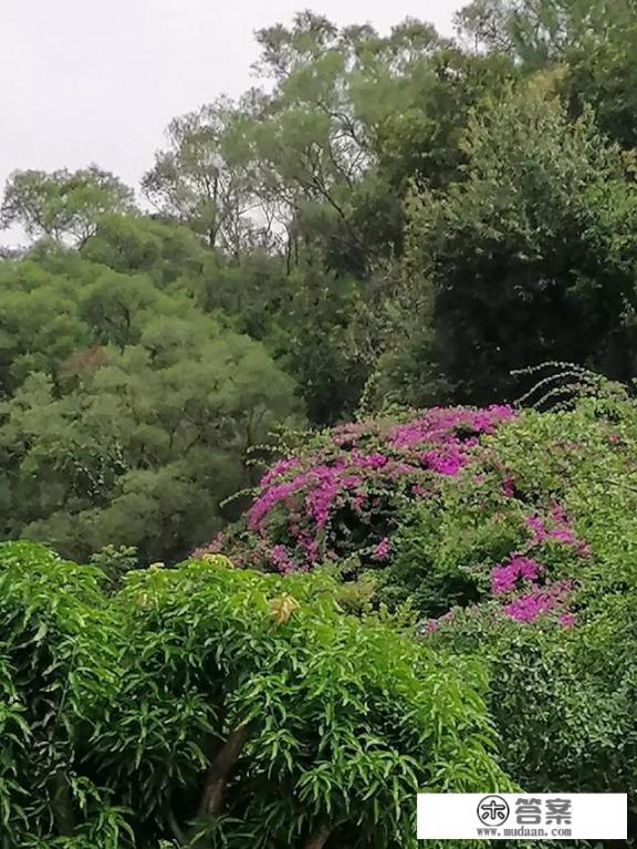 谁能推荐个江门周边一日游？