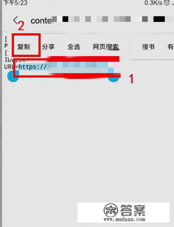 手机上怎样查看网页链接？