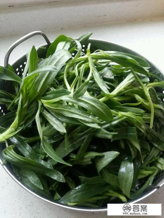 面条菜长什么样？