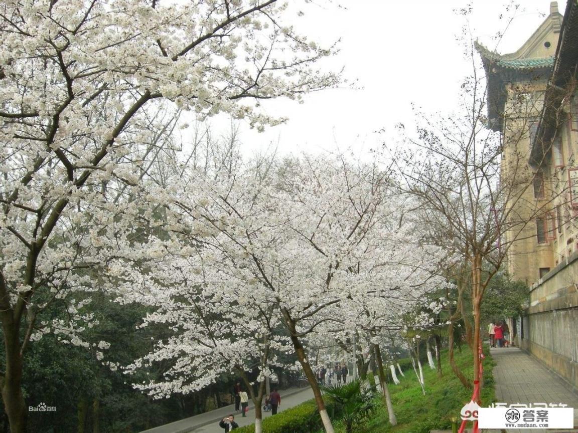 武汉大学的全称是啥？