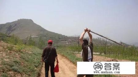 曾经危害一方，让人毛骨悚然的“刨锛儿”到底有多可怕？