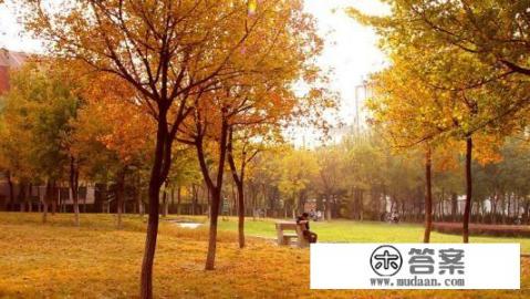 山东财经大学多大面积？