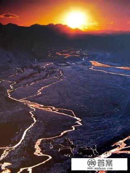 四年级孩子理解能力特别差适合看什么样的书？