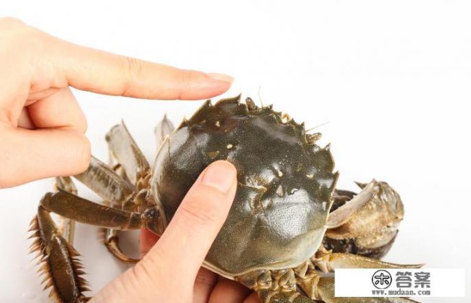 大闸蟹保存方法家常做法？