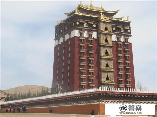 青海湖和甘南旅游的区别？