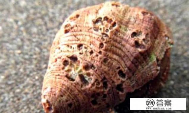 除了2017年央视315晚会中曝光的卡乐比，日本还有哪些可能被核污染的食品和产品需要注意？