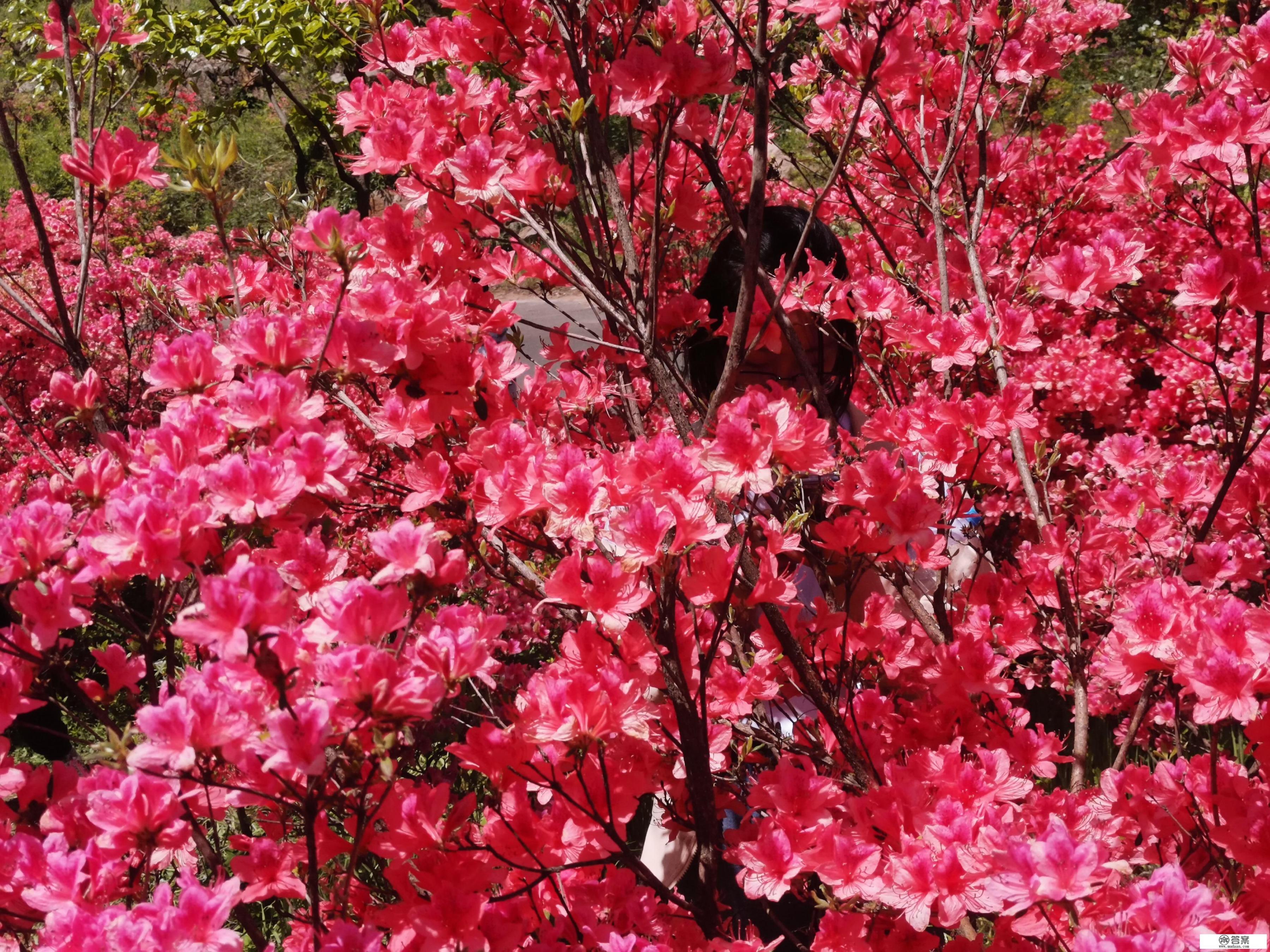 五一去哪里玩？