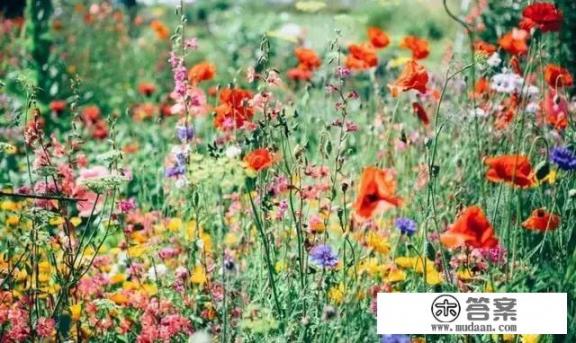 五一去哪里玩？