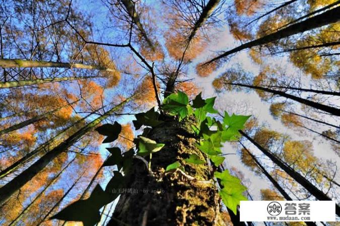 重庆好玩的地方太多了，谁能列个明细？不用太细，简明扼要？