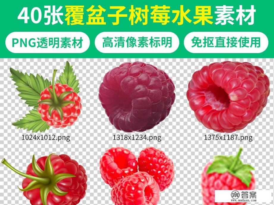 覆盆子和树莓图片对比？