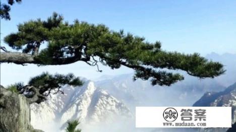 看心理科在南宁区医院好还是303医院好？