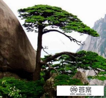 上海五一去哪里玩人会少？