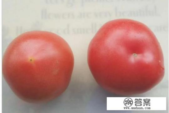 西红柿鸡蛋饼的家常做法？