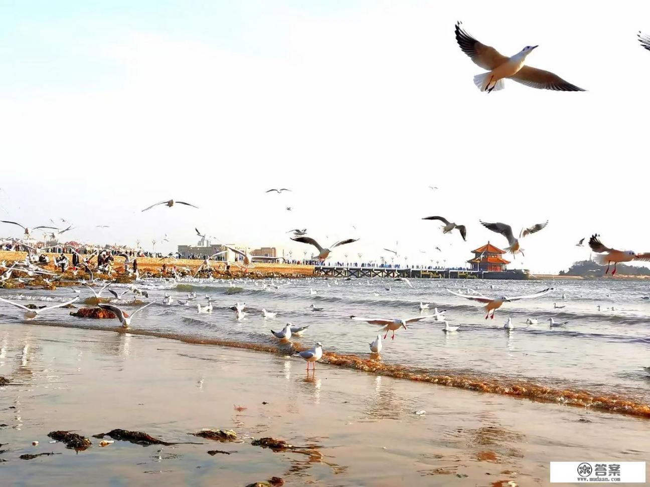 哪里的海边适合旅游,求介绍? 哪里的海边适合旅游,求介绍?