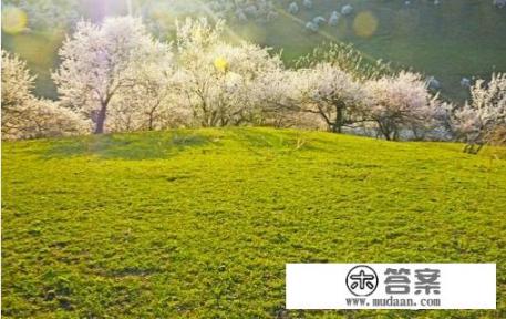 北京文艺广播插曲？