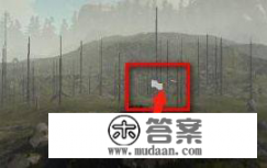 steam的森林天坑怎么过？