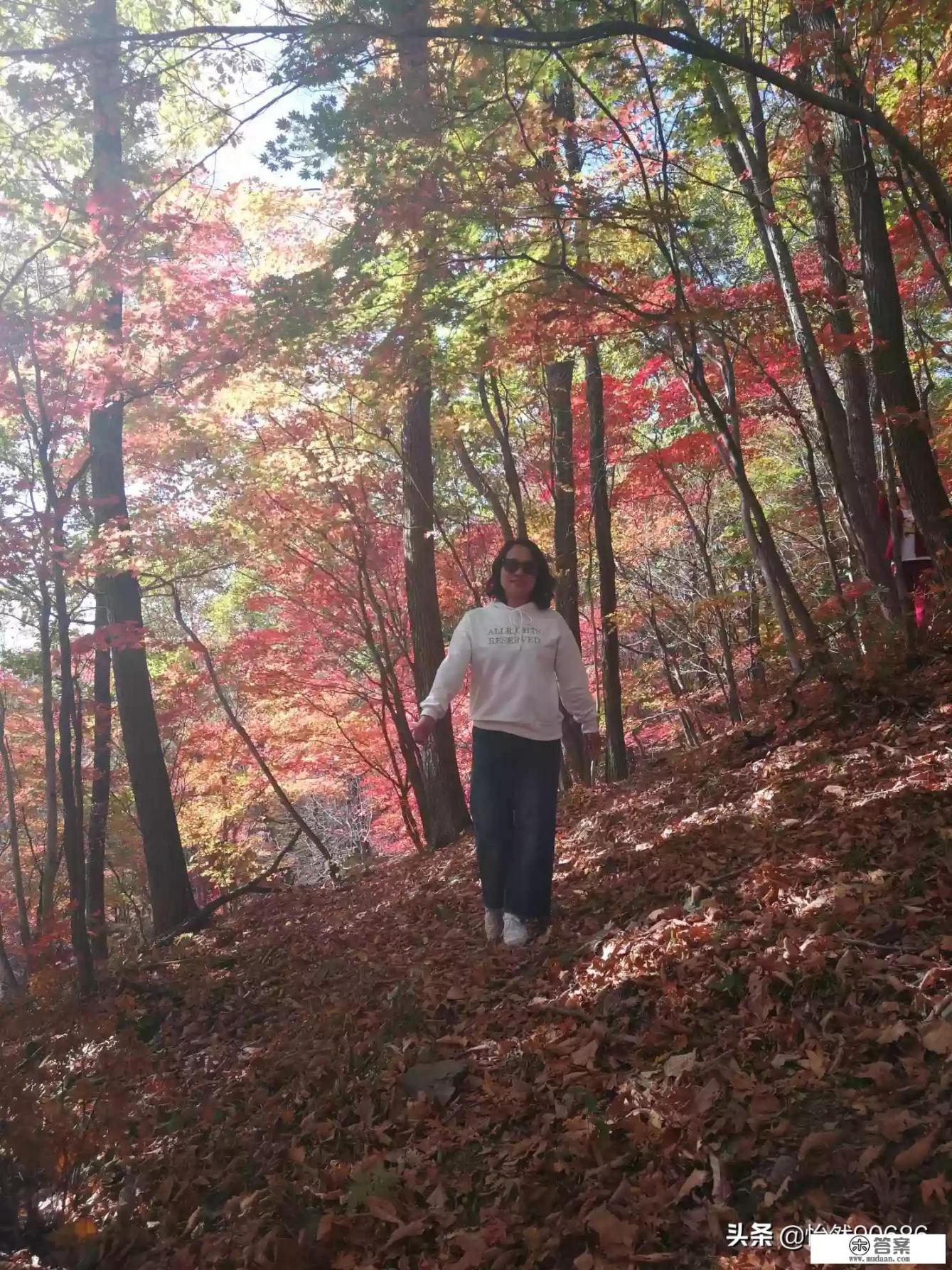 11月带孩子去哪儿玩？