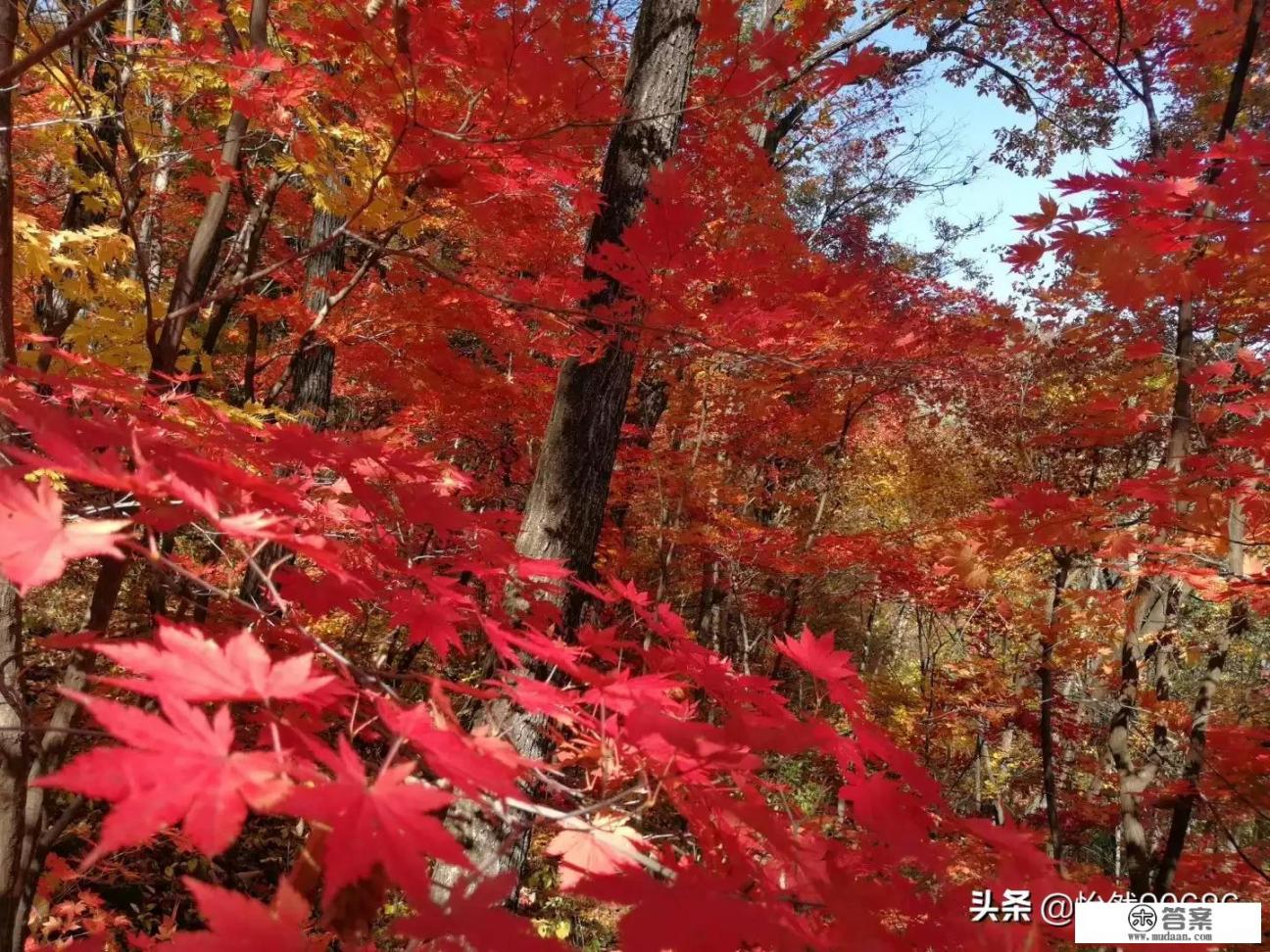 11月带孩子去哪儿玩？