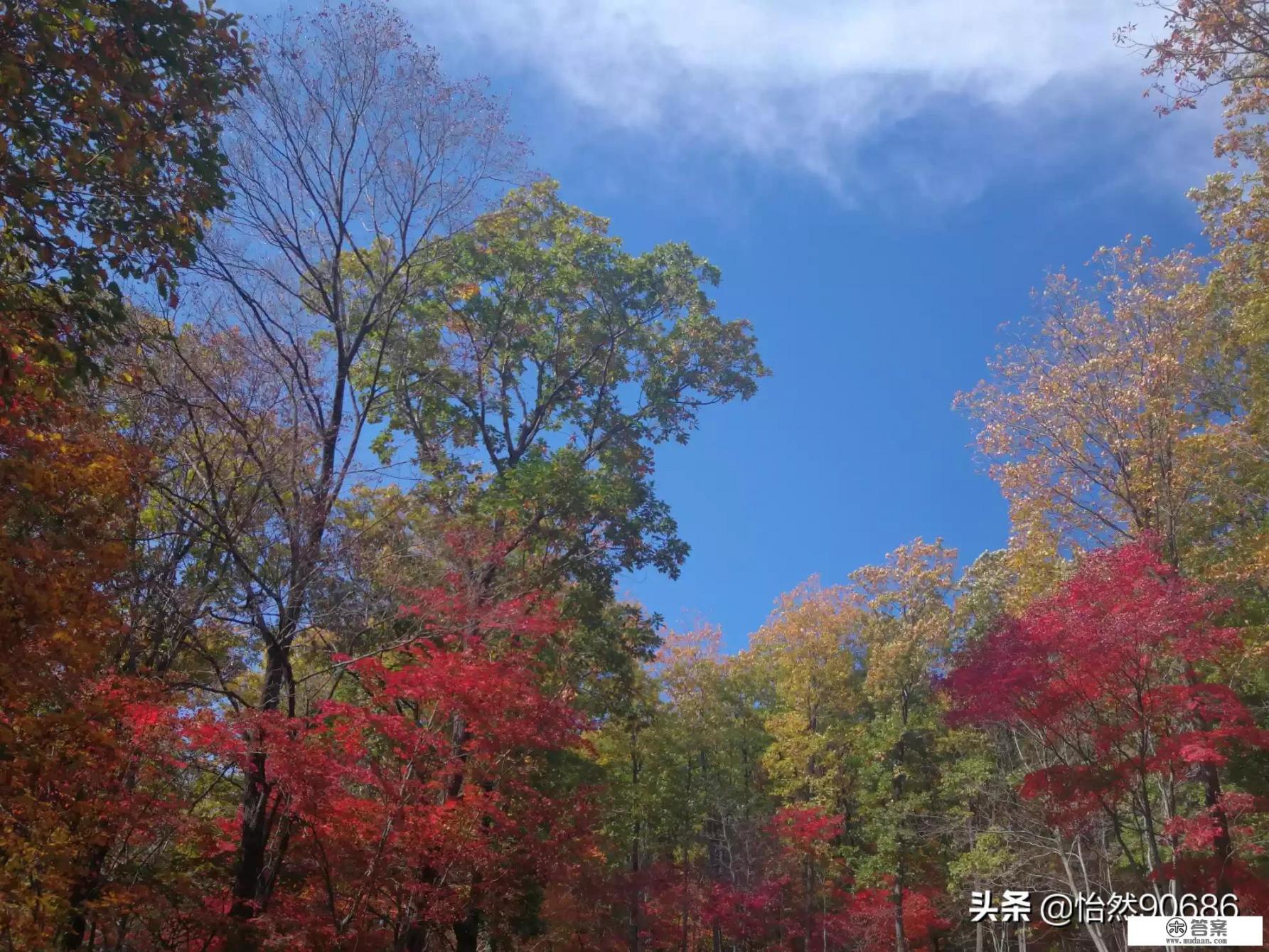 11月带孩子去哪儿玩？