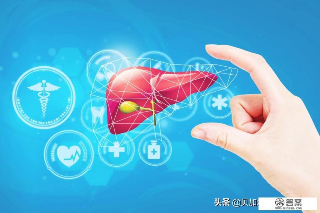 水飞蓟护肝有效吗? 水飞蓟护肝有效吗?