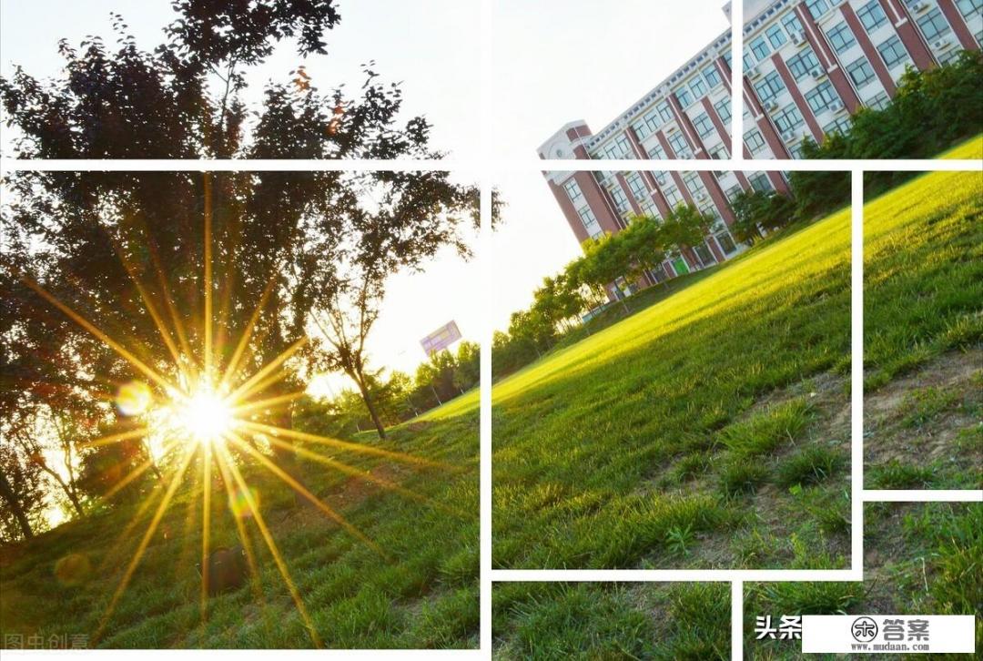 以初来者的眼光和视角 表达自己对大学的感受和认知？