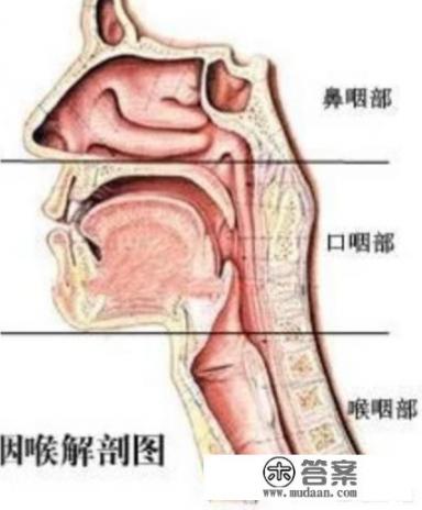 慢性咽喉炎怎么治愈？