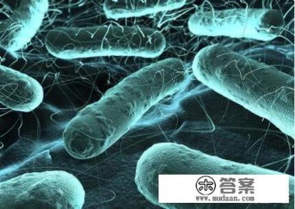 什么是阴道炎？