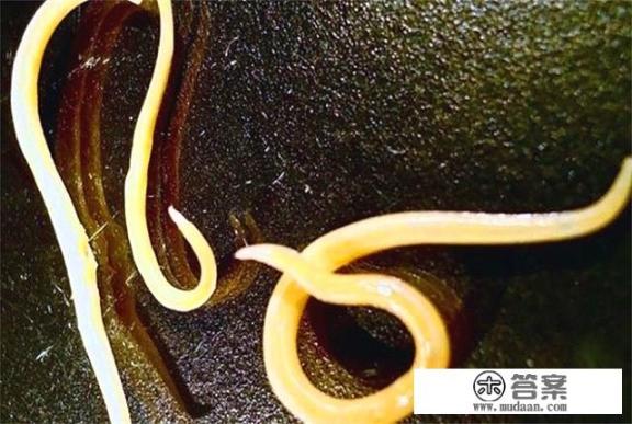 冬天穿兽脚冷吗？