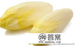 菊苣什么意思？