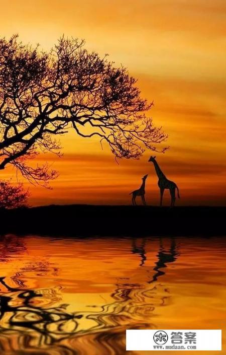 再婚不会幸福的，我打算孤独终老，你们呢？