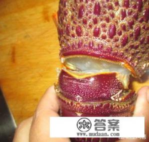 清蒸澳洲龙虾的做法？