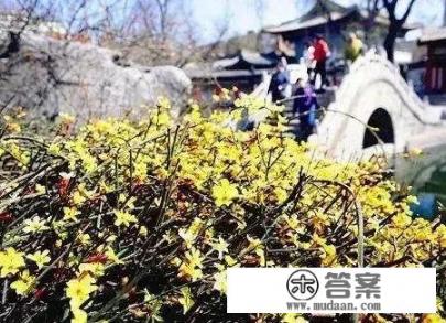 星露谷物语春天攻略？