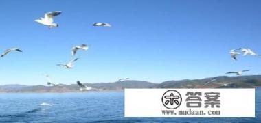 11月去哪游玩比较好？